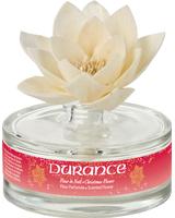 Durance - Scented Flower Magic of a Christmas