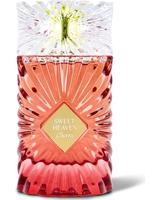 Gulf Orchid - Sweet Heaven Cherry