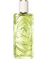 Lancome - Off Now