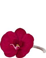 Durance - Refill Scented Flower Orchidee