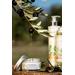 Durance Bath and Shower Gel Olive Leaf Extract. Фото 3