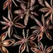 Castelbajac Homme. Фото 2