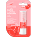 Byphasse Moisturizing Lip Balm бальзам 4.8 г Вишня