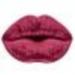 MESAUDA French Kiss Lip kit набор #026 (03) Boudoir