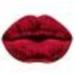 MESAUDA French Kiss Lip kit набор #028 (05) L'amour
