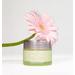 La Cure Beaute Black Tea Infused Kombucha Cream. Фото 2