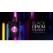 Yves Saint Laurent Black Opium Neon. Фото 1