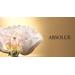 Lancome Absolue Night Precious Cells. Фото 1