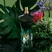 Jean Paul Gaultier Le Beau Le Parfum. Фото 1