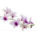 Durance Bath Salts Spirit соль для ванны 600 г Цветок орхидеи