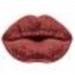 MESAUDA French Kiss Lip kit набор #025 (02) Bois de Rose