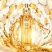 Guerlain Advanced Abeille Royale Youth Watery Oil. Фото 2