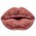 MESAUDA French Kiss Lip kit набор #024 (01) Bon Ton