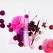 Kenzo Cherry Poppy Eau de Parfum. Фото 2