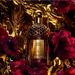 Guerlain Absolus Allegoria Rose Amira. Фото 1