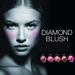 MESAUDA Diamond Blush Baked. Фото 5