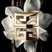 Givenchy Society Eau de Parfum Ambree. Фото 4