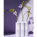 Caudalie Vinotherapist Lotion. Фото 1