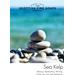 Scottish Fine Soaps Sea Kelp Bath & Shower Gel. Фото 2