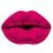 MESAUDA French Kiss Lip kit набор #027 (04) Flamant