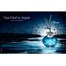 Van Cleef & Arpels Feerie. Фото 3