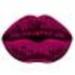 MESAUDA French Kiss Lip kit набор #029 (06) Lingerie
