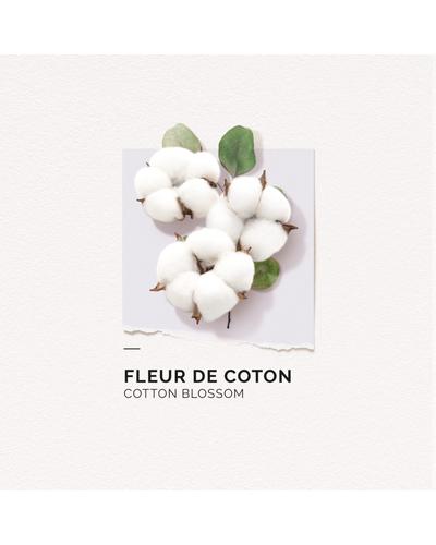 Solinotes Cotton Flower фото 1