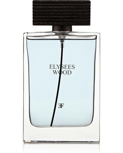Prestige Parfums Elysees Wood главное фото