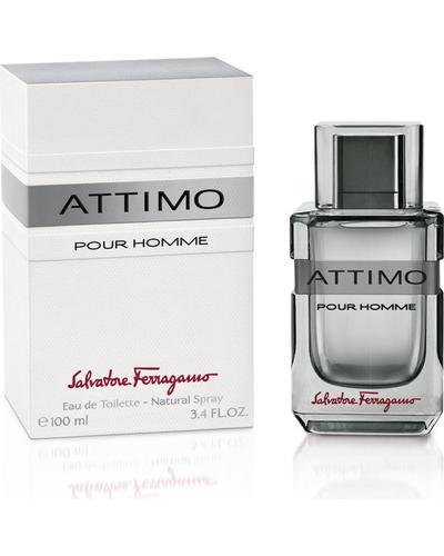 Salvatore Ferragamo Attimo Pour Homme фото 2