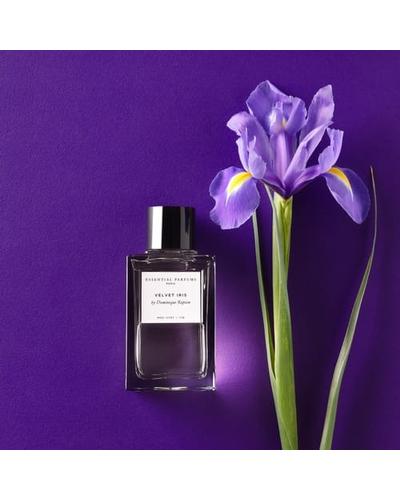 Essential Parfums Velvet Iris фото 1