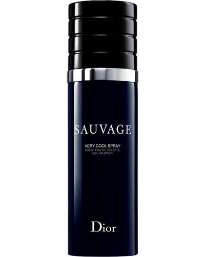 Dior Sauvage Very Cool Spray главное фото