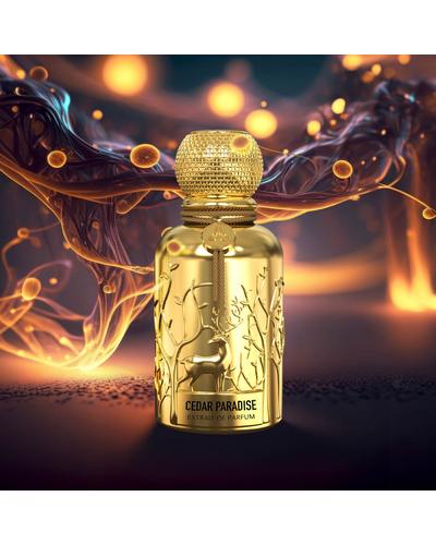 Auraa Desire Cedar Paradise Extrait De Parfum фото 1