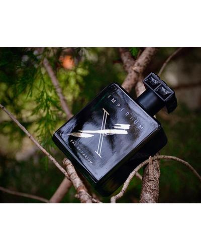 Fragrance World Imperium X фото 1