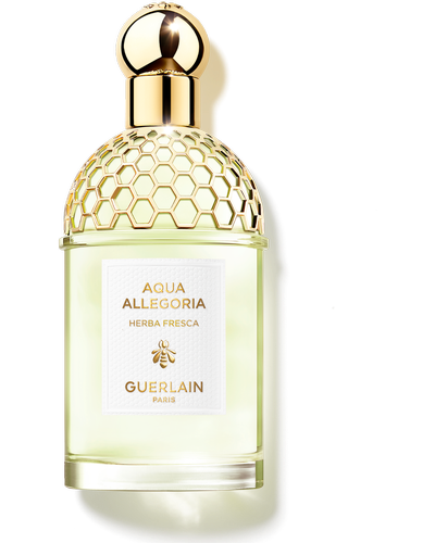 Guerlain Aqua Allegoria Herba Fresca главное фото