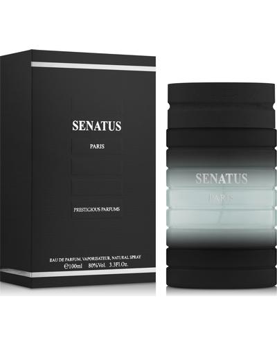 Prestige Parfums Senatus Black фото 1