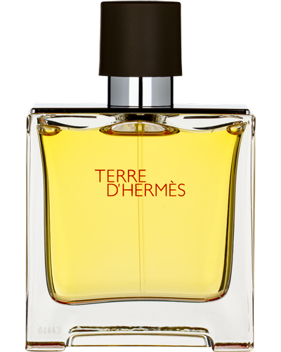 Hermes Terre d`Hermes Parfum главное фото