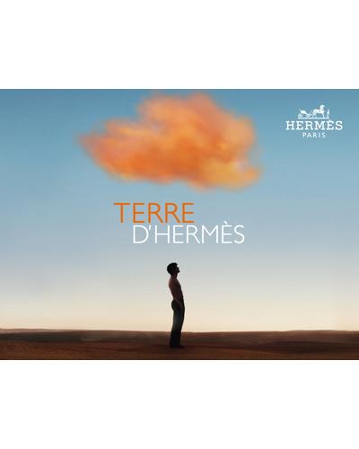 Hermes Terre d`Hermes Parfum фото 3