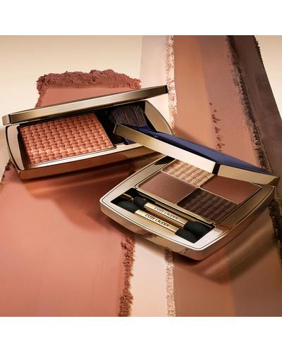 Estee Lauder Essential Eyeshadow Quad Power фото 3