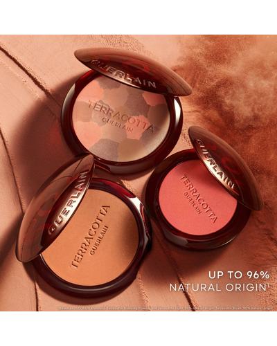 Guerlain Bee Beauty Secrets Terracotta Blush фото 1