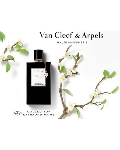 Van Cleef & Arpels Orchid Leather фото 2