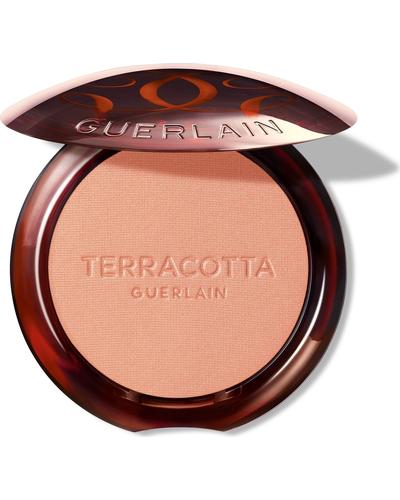 Guerlain Bee Beauty Secrets Terracotta Blush главное фото