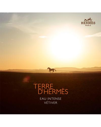 Hermes Terre D'Hermes Eau Intense Vetiver фото 6