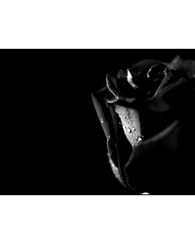 Byredo Rose Noir фото 5