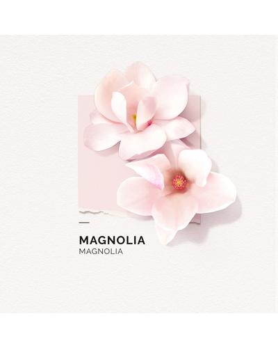 Solinotes Magnolia фото 1