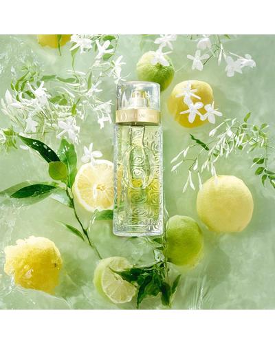 Lancome O De Lancome фото 2