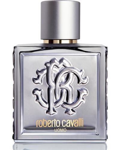 Roberto Cavalli Uomo Silver Essence главное фото