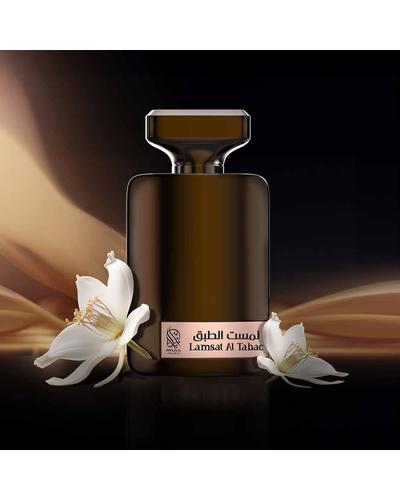 Nylaa Lamsat Al Tabac фото 3