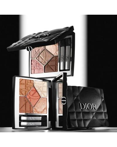 Dior Diorshow 5 Couleurs Eye Palette фото 2
