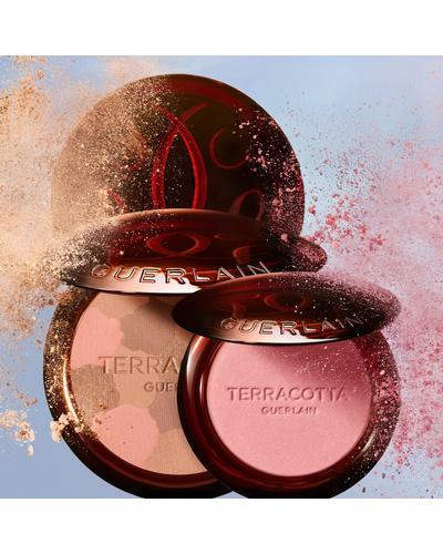 Guerlain Bee Beauty Secrets Terracotta Blush фото 2