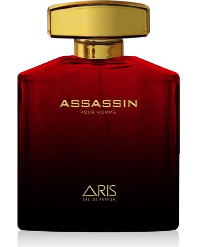 ARIS Assasin главное фото